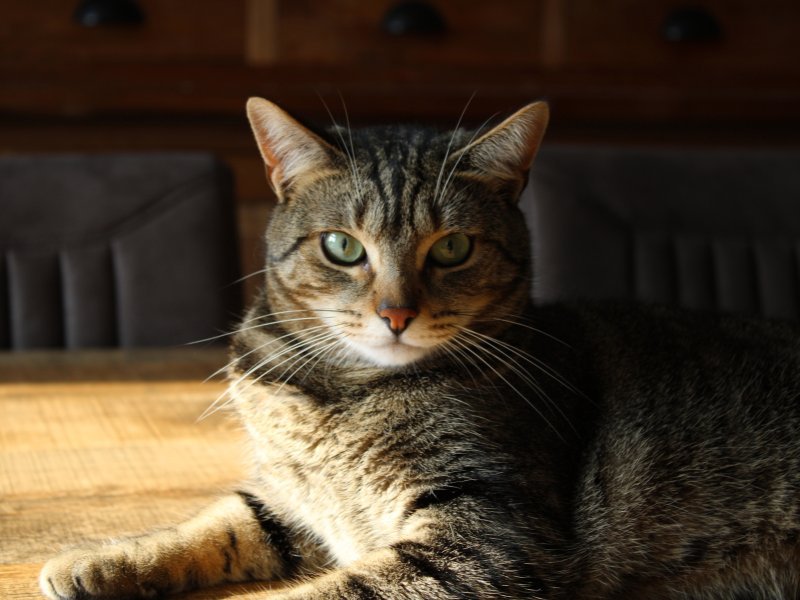 Foto de Buby